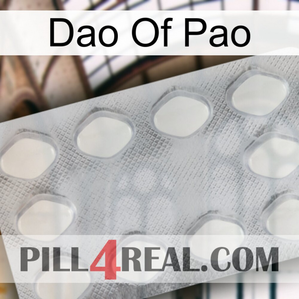 Dao Of Pao 16.jpg